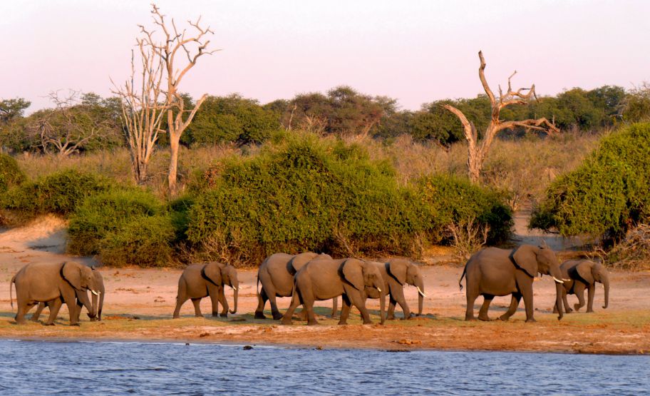 Botswana Botswana