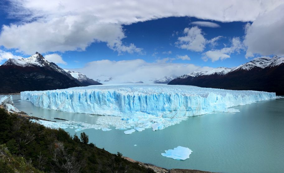 Argentine Argentine