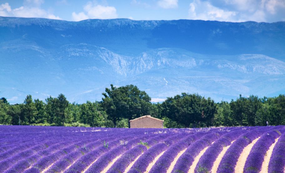 France France
