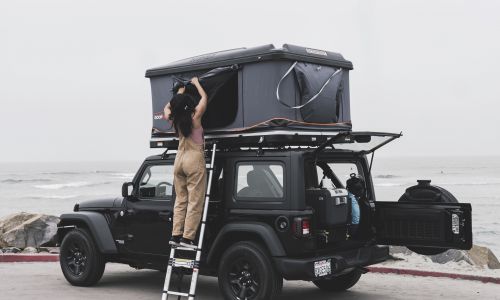 Wrangler Wrangler