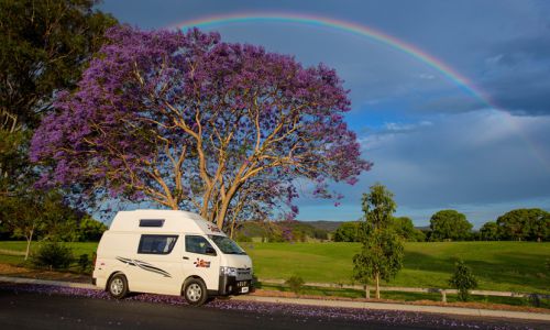 Hippie Endeavour Hippie Endeavour