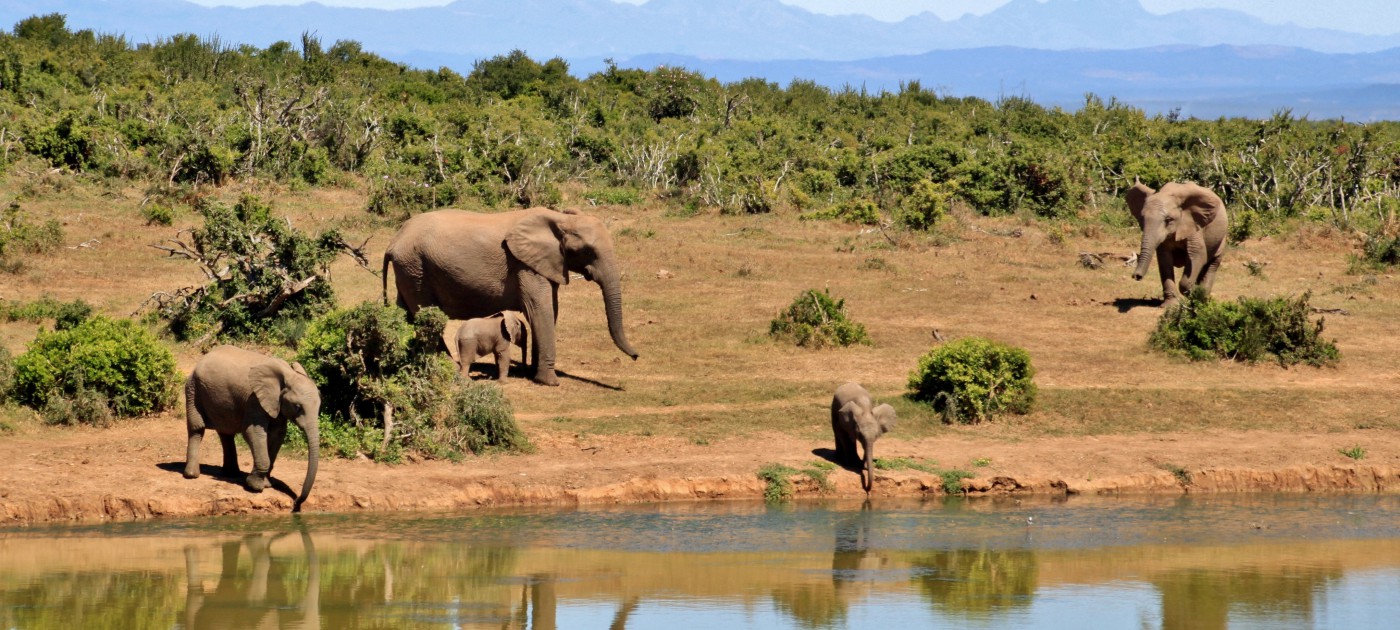 Africa