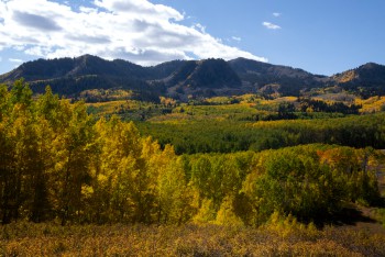 Wood Buffalo National Park 2