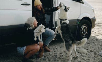 Taking your pet on an RV trip in Europe