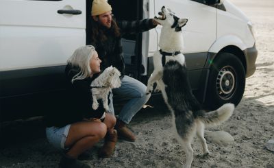 Taking your pet on an RV trip in Europe Taking your pet on an RV trip in Europe