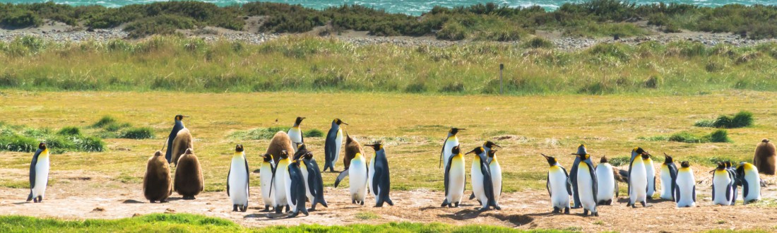 Alquilar de autocaravana en Punta Arenas con Worldwide Campers