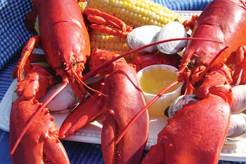 ChileperCamper152XXX 1 ChileperCamper152XXX 1