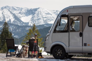 Dogs allowed in camper Dogs allowed in camper