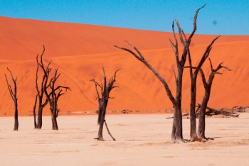 Sossusvlei, Namib Naukluft National Park  Sossusvlei, Namib Naukluft National Park