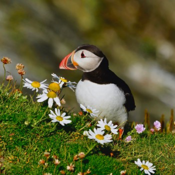 federica-bisso-9dqnXV3FY1g-unsplash 1 federica-bisso-9dqnXV3FY1g-unsplash 1