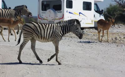 De Must-sees tijdens jouw avontuurlijke camperreis door Namibië