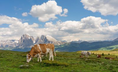 Voorbeeldroute Noord-Italië in 12 dagen