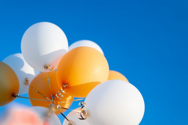 We vieren de nieuwe website met korting! We vieren de nieuwe website met korting!