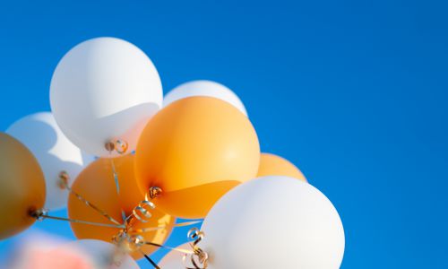 We vieren de nieuwe website met korting! We vieren de nieuwe website met korting!